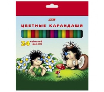 Карандаши цветные. Hatber. Ежики . 24 цвета. С заточкой. В картонной коробке с европодвесом