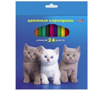 Карандаши цветные. Hatber. Любимцы . 24 цвета. С заточкой. В картонной коробке с европодвесом